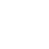 Star Cactus